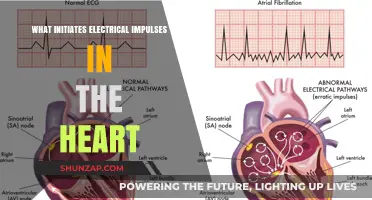 How Does the Heart Generate Electrical Impulses?