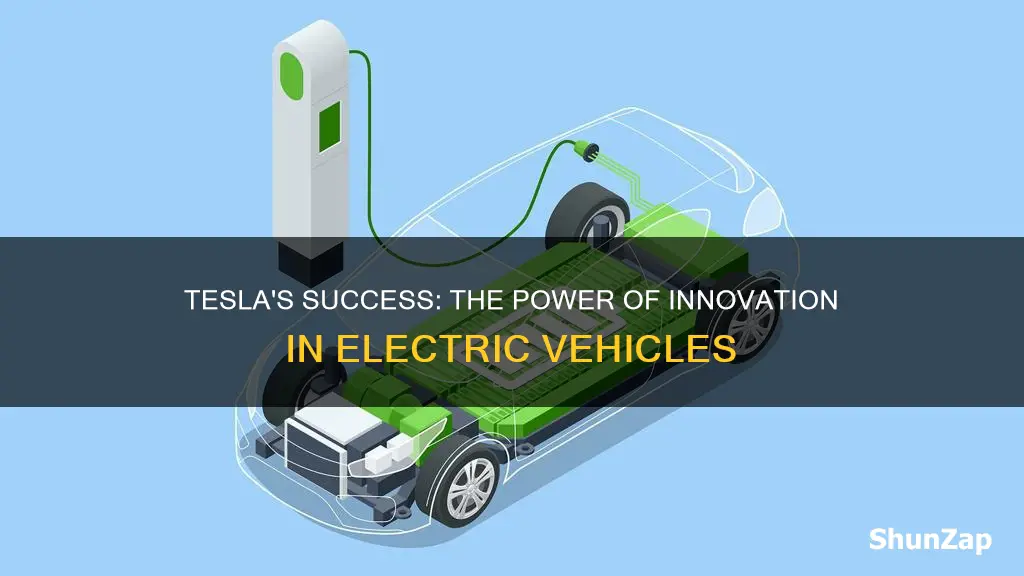 what innovation enabled tesla to be successful with electric vehicles