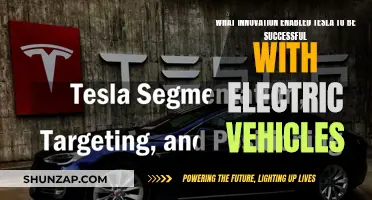 Tesla's Electric Vehicle Success: Unlocking the Power of Innovation