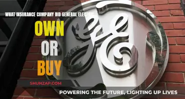 GE's Insurance Company: Owning and Acquiring Strategy