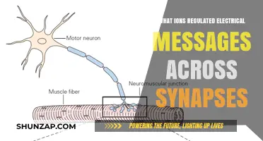 Ions: Powering Electrical Messages Across Synapses