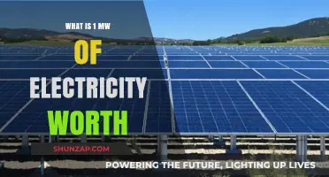 Understanding the Value of 1 Megawatt of Electricity