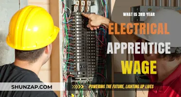 Electrical Apprentice Wage: Third-Year Earnings Explored