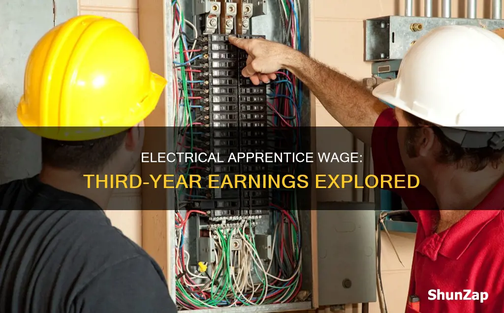 what is 3rd year electrical apprentice wage