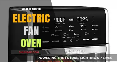 The Ideal Electric Fan Oven Temperature