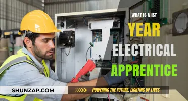 Electrical Apprentice: First Year on the Job