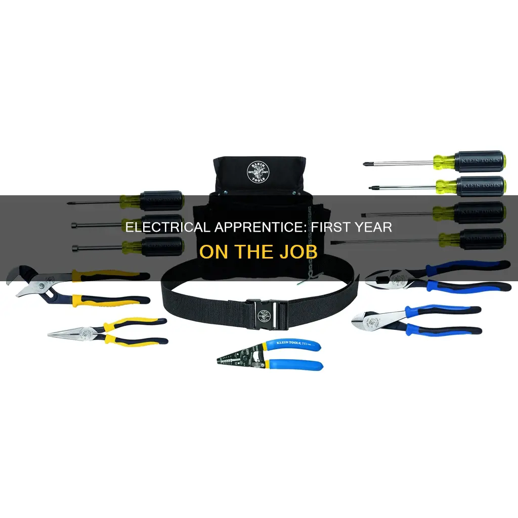 what is a 1st year electrical apprentice