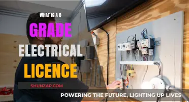 Electrical Licensing: B-Grade Essentials Explained