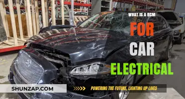 Understanding Your Car's BCM: The Electrical Control Module Explained