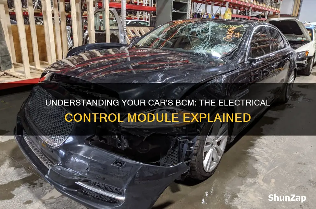 what is a bcm for car electrical