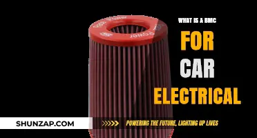 Understanding the Car Electrical Body Control Module (BMC) Function