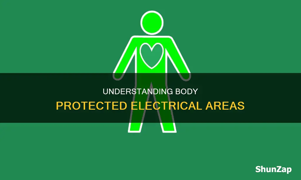 what is a body protected electrical area