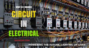Understanding Branch Circuits: Electrical Power Distribution