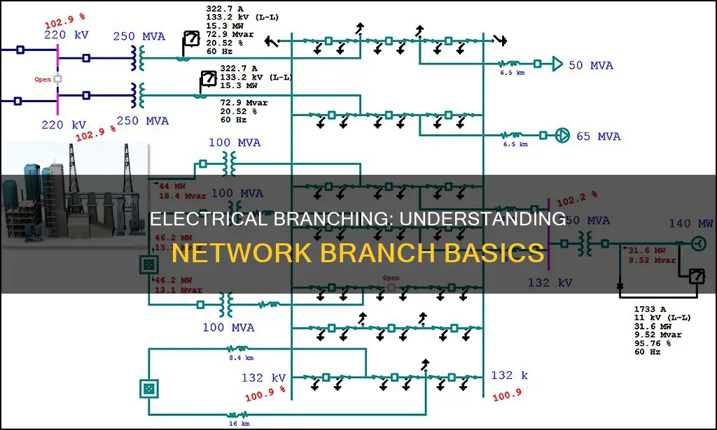 what is a branch in electrical network