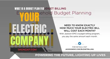 Master Your Energy Costs: Crafting a Budget Plan for Your Electric Company