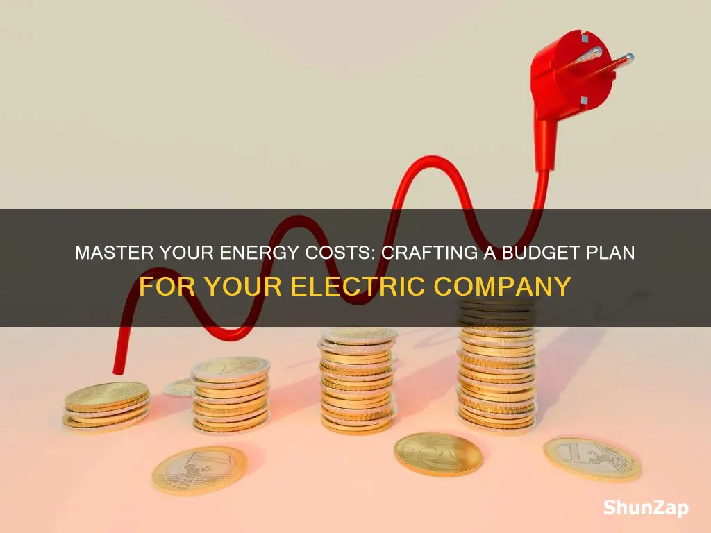 what is a budget plan for your electric company