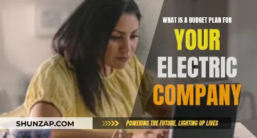 Electric Company Budgeting: Plan for a Shock-Free Future