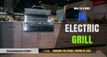Built-In Electric Grills: A Modern Outdoor Cooking Experience