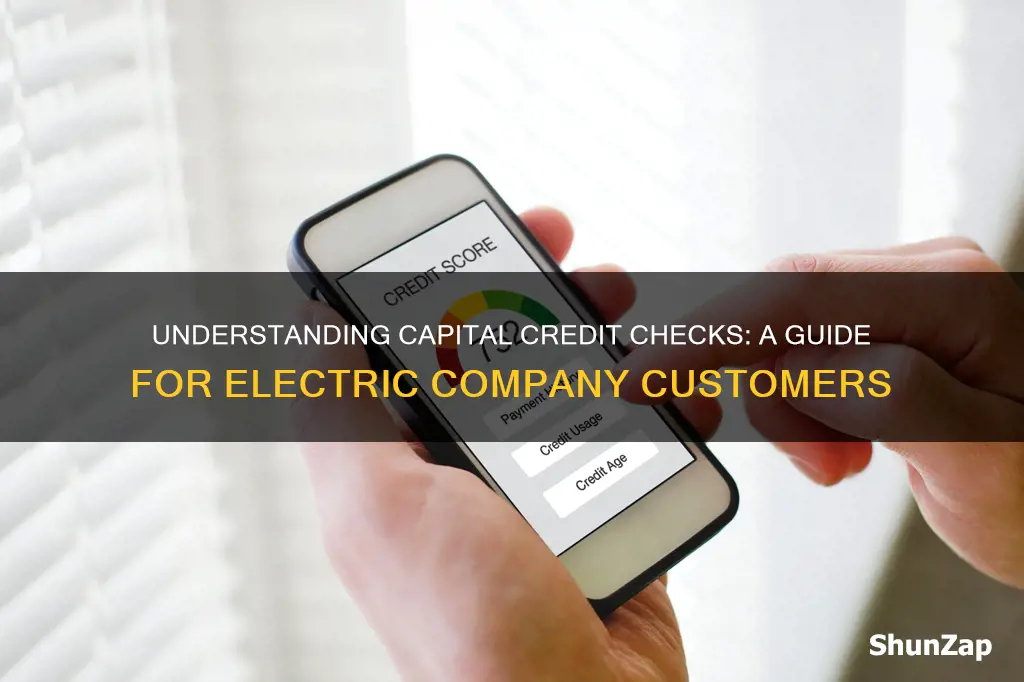 what is a caputal credit check from an electric company