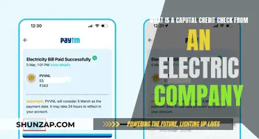 Electric Company Capital Credit Check: What You Need to Know