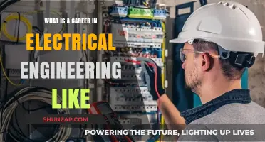 Exploring the Dynamic World of Electrical Engineering Careers