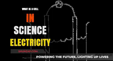 Electric Cell: Powering Our World