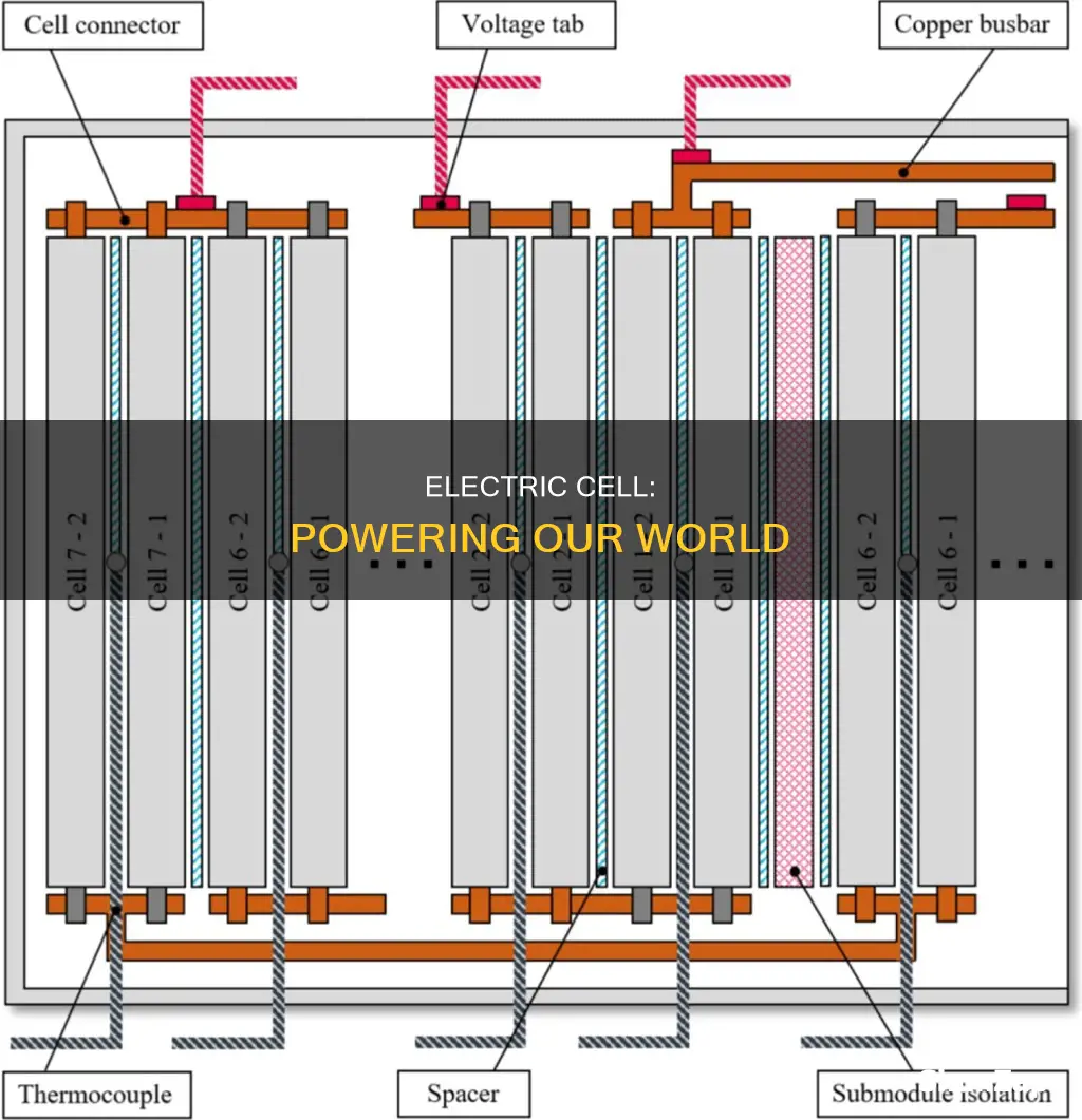 what is a cell in science electricity