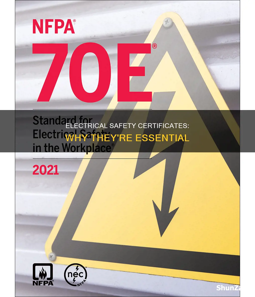 what is a certificate of electrical safety