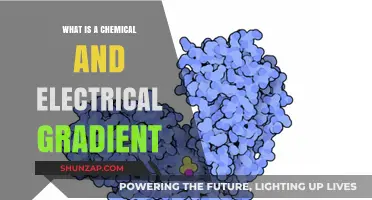 Understanding Chemical-Electrical Gradients: Essential for Life