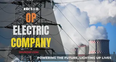 Understanding Co-Op Electric Companies: Powering Communities Together