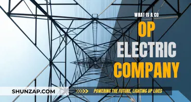 Electric Co-ops: Community-Owned Power Providers