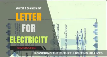 Electricity Commitment Letters: Understanding the Basics