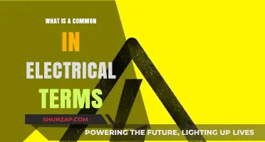 Electrical Commons: Understanding Shared Electrical Resources
