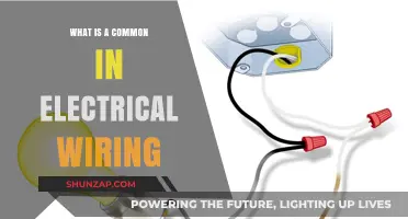 Electrical Wiring: What's the Common Ground?