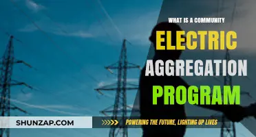Electricity Community Aggregation: How Does It Work?