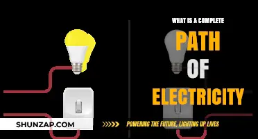 The Circuitous Path of Electricity: A Complete Journey
