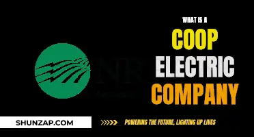 Electric Co-op Companies: Powering Communities Together