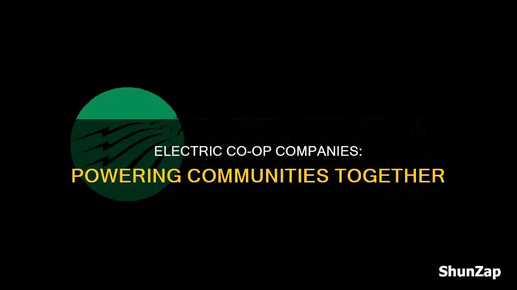 what is a coop electric company