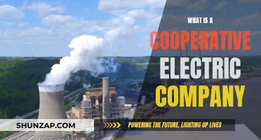 Understanding Co-ops: The Power of Community-Owned Electricity