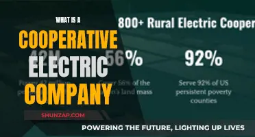 Electric Cooperatives: Powering Communities Together
