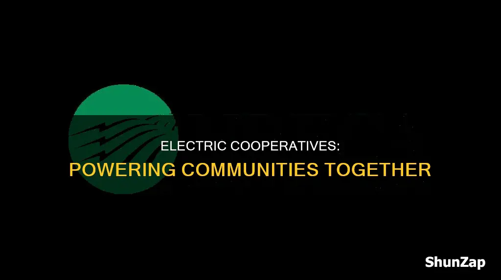 what is a cooperative electric company