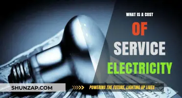 Understanding the Cost of Service Electricity Pricing