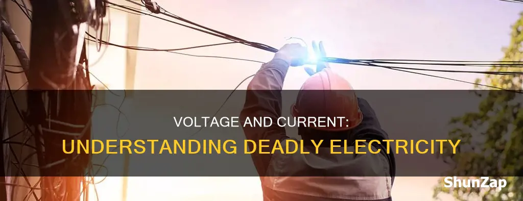 what is a deadly amount of electricity