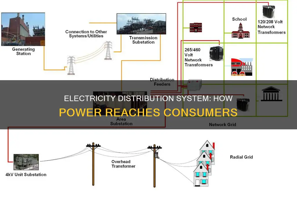 what is a distribution system in electricity