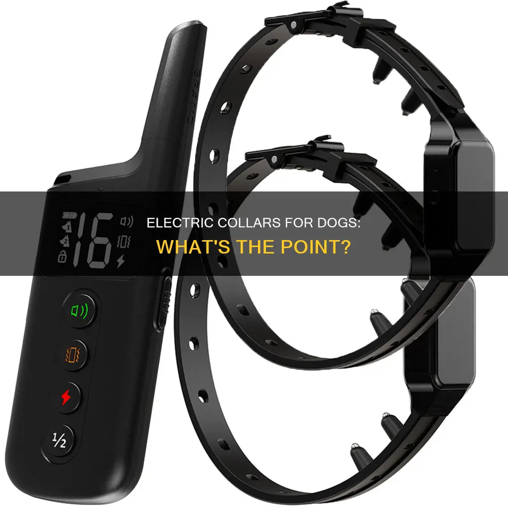 what is a dog electric collar for