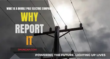 Understanding Double Pole Electric Companies: Why Reporting Matters