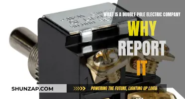 Double Pole Electric Company: Report and Avoid Hazards