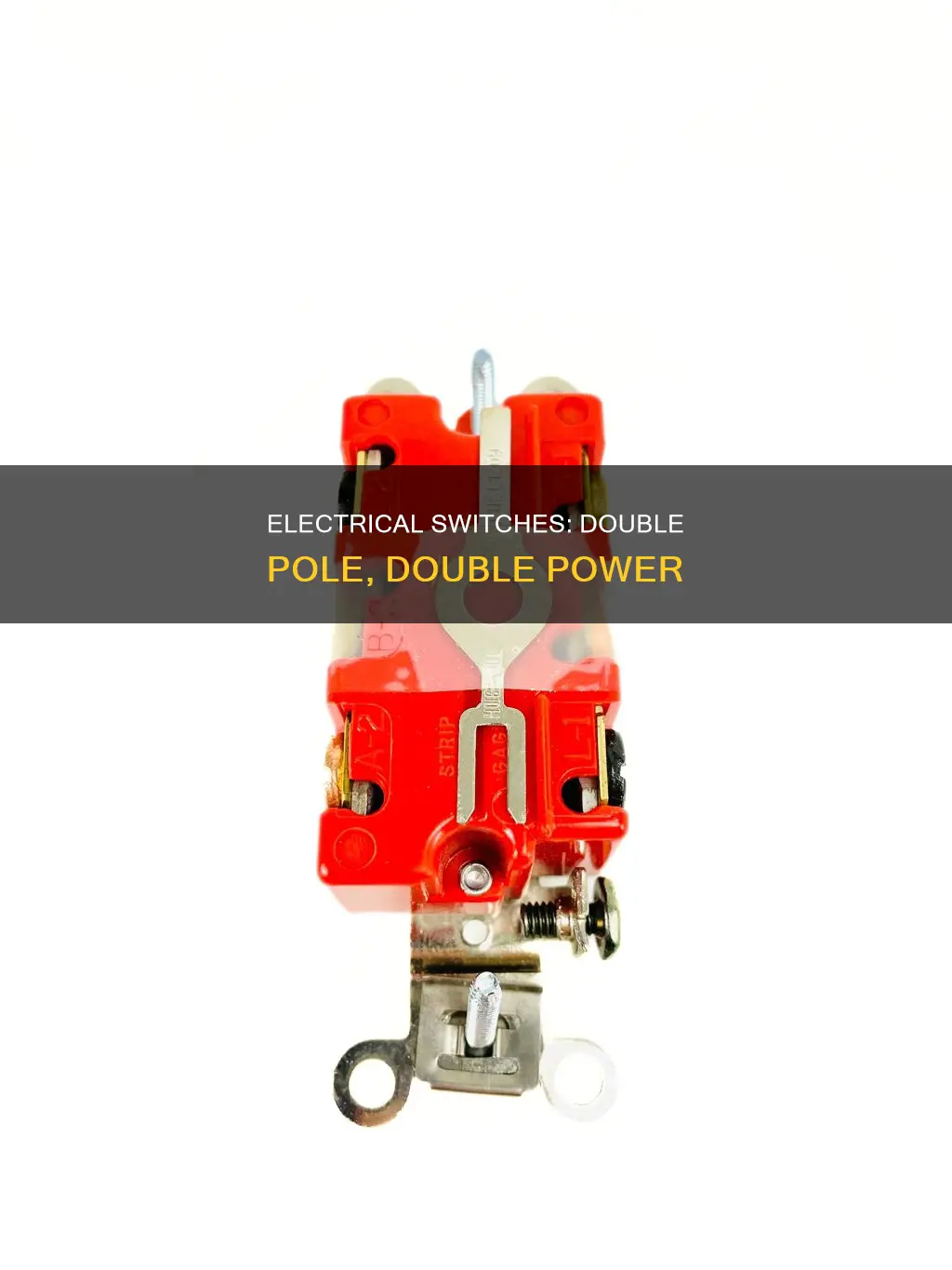 what is a double pole electrical switch