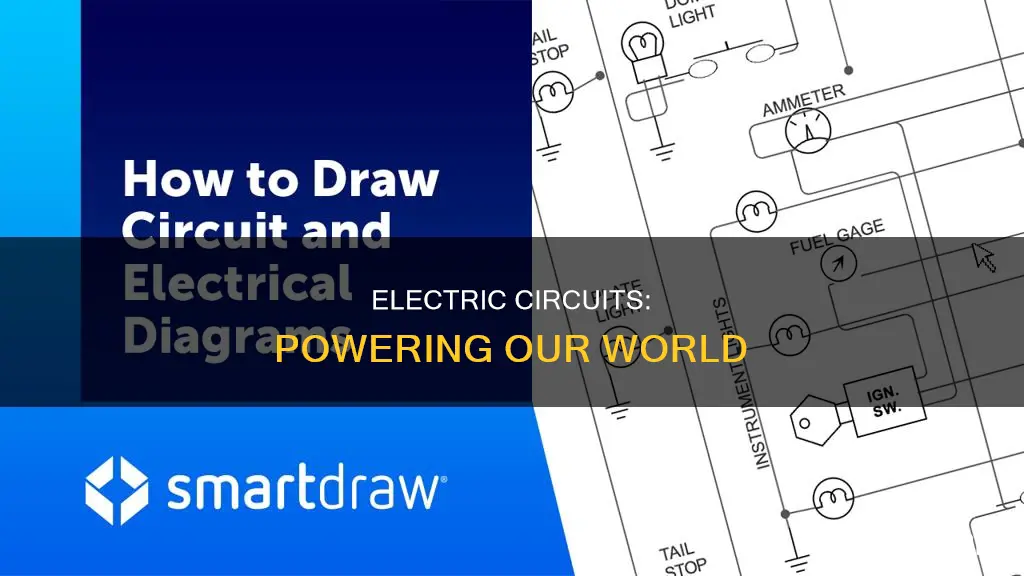 what is a electric circuit in science