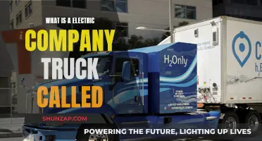 Electric Company Trucks: What's in a Name?